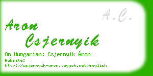 aron csjernyik business card