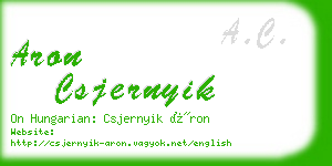 aron csjernyik business card